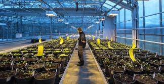 B_Fredrik_Alfsson_Kollar_Plantor_2.jpg