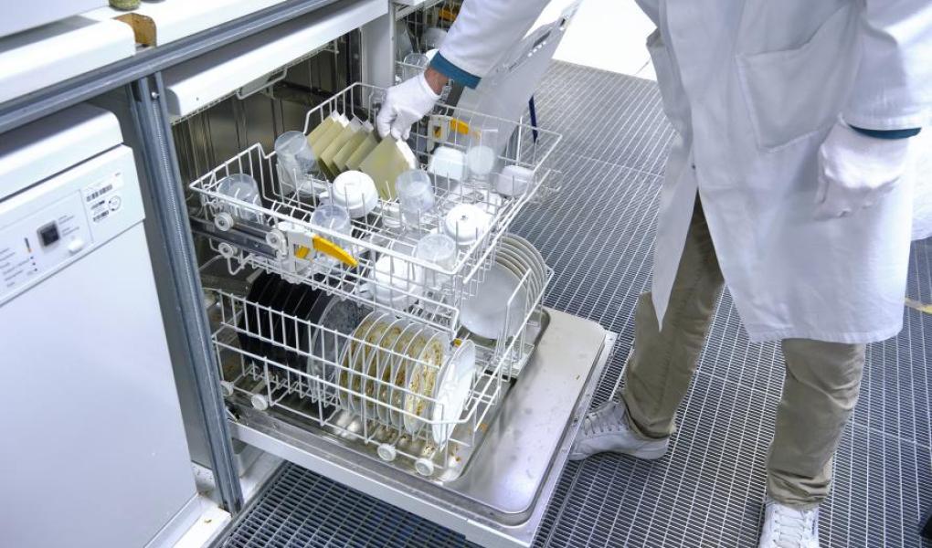 Det skitne serviset legges i laboratorieoppvaskmaskinene. Foto: Tobias Meyer