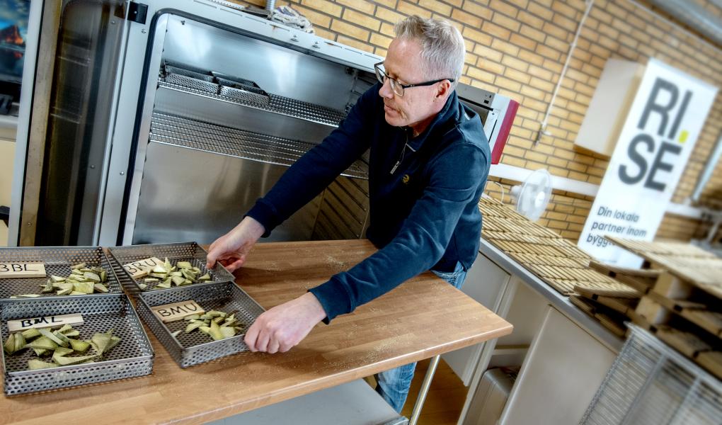 Prøvetaking før kjemisk analyse av inntrengning av trebeskyttelsesmiddel. Foto: Anna Sigge